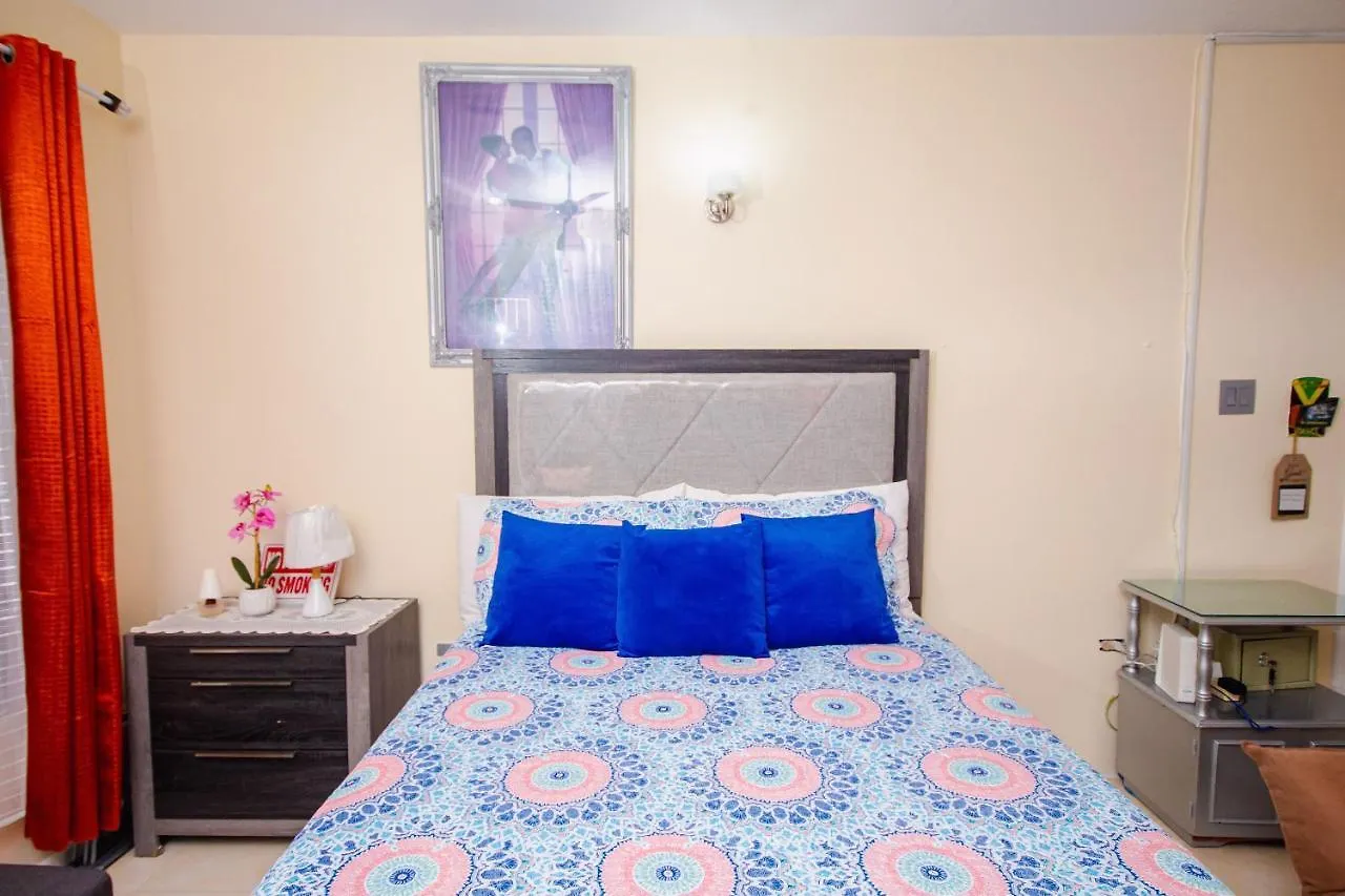 الشقق الفندقية Columbus Heights Ocho Rios Ocean View Sleeps1-2 Person شقة فندقية